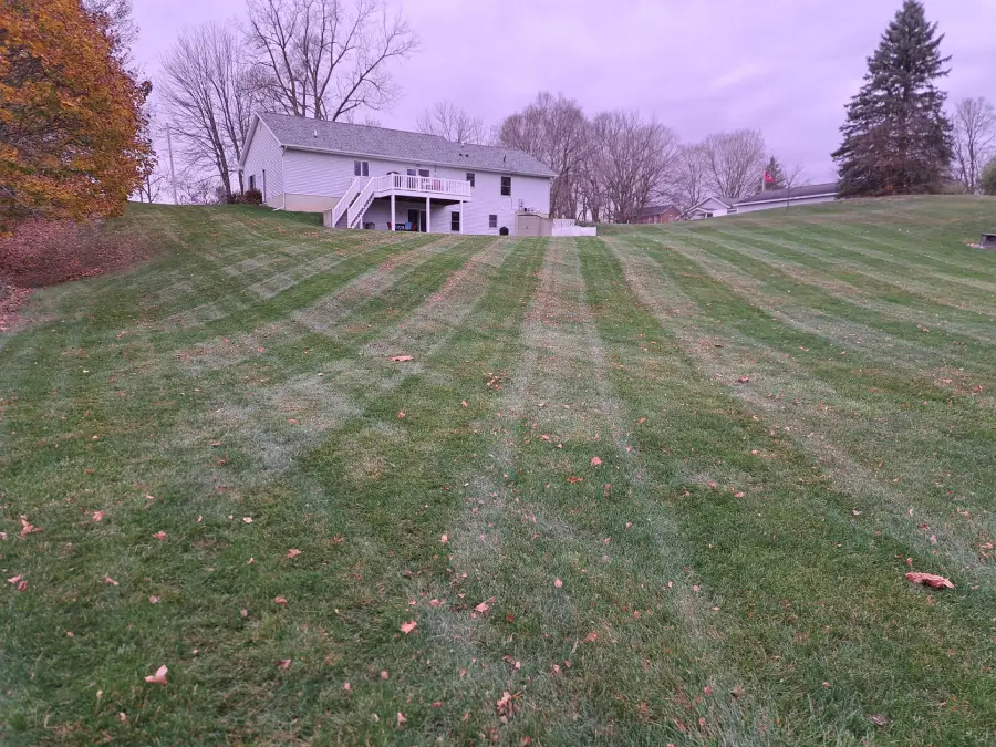 Fresh stripes from a leaf cleanup in Adrian, Mi